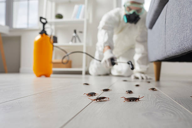Commercial Rodent Management in Port Wentworth